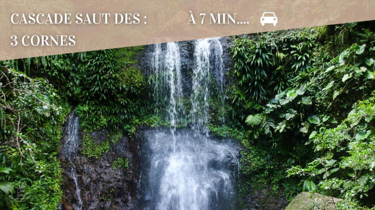 Villa Oneway, Piscine Privee, Classee 3 Etoiles Sainte-Rose Ngoại thất bức ảnh